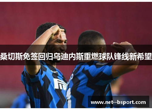 桑切斯免签回归乌迪内斯重燃球队锋线新希望